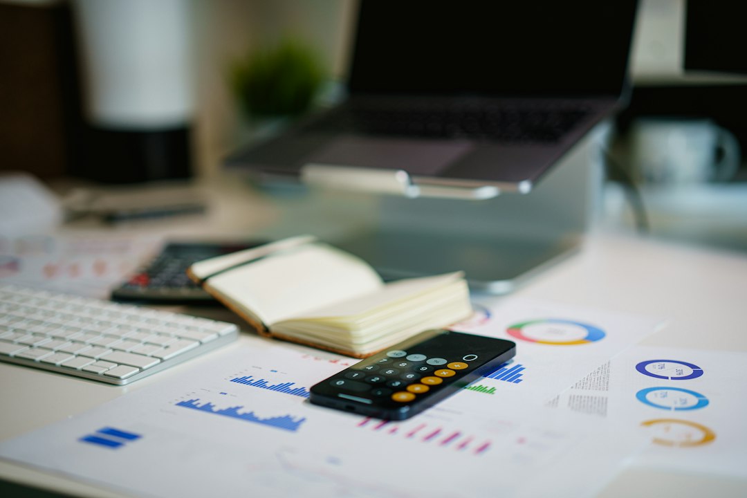 Financial report and accounting software workspace